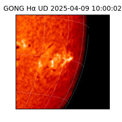 gong - 2025-04-09T10:00:02