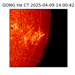 gong - 2025-04-09T14:00:42