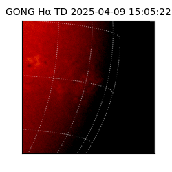 gong - 2025-04-09T15:05:22