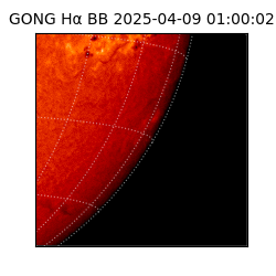 gong - 2025-04-09T01:00:02