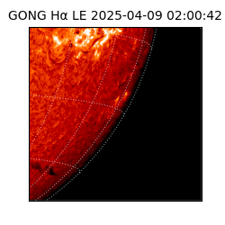 gong - 2025-04-09T02:00:42