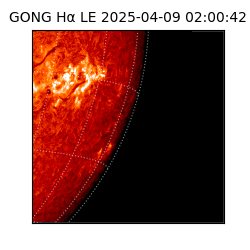 gong - 2025-04-09T02:00:42