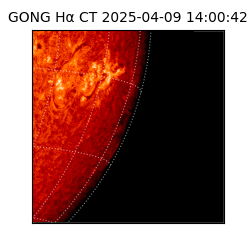 gong - 2025-04-09T14:00:42