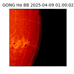 gong - 2025-04-09T01:00:02
