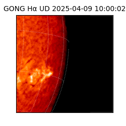 gong - 2025-04-09T10:00:02