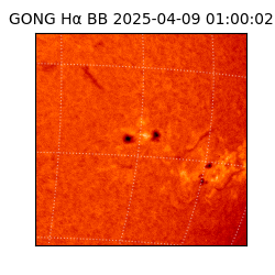 gong - 2025-04-09T01:00:02