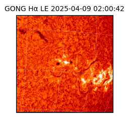 gong - 2025-04-09T02:00:42