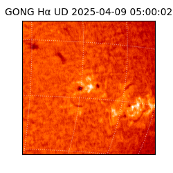 gong - 2025-04-09T05:00:02