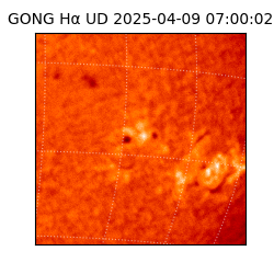 gong - 2025-04-09T07:00:02