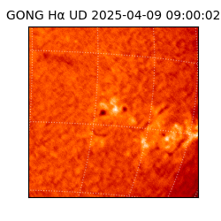 gong - 2025-04-09T09:00:02