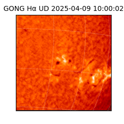 gong - 2025-04-09T10:00:02