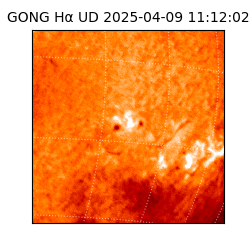 gong - 2025-04-09T11:12:02