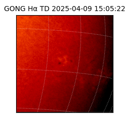gong - 2025-04-09T15:05:22