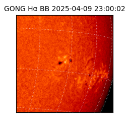 gong - 2025-04-09T23:00:02