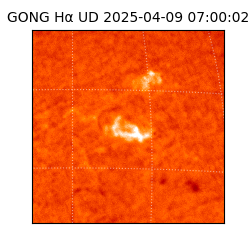 gong - 2025-04-09T07:00:02