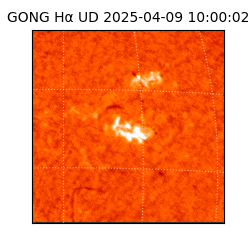 gong - 2025-04-09T10:00:02