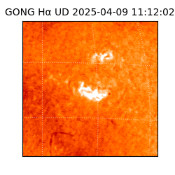 gong - 2025-04-09T11:12:02