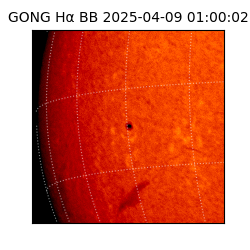 gong - 2025-04-09T01:00:02