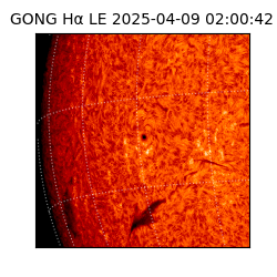 gong - 2025-04-09T02:00:42