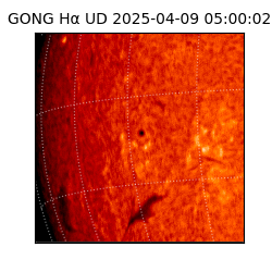 gong - 2025-04-09T05:00:02