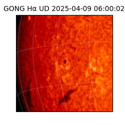 gong - 2025-04-09T06:00:02