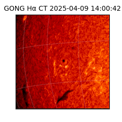 gong - 2025-04-09T14:00:42
