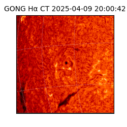 gong - 2025-04-09T20:00:42