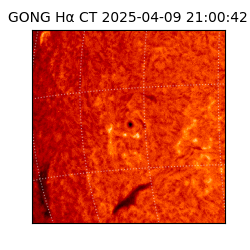 gong - 2025-04-09T21:00:42