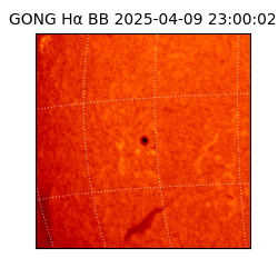 gong - 2025-04-09T23:00:02