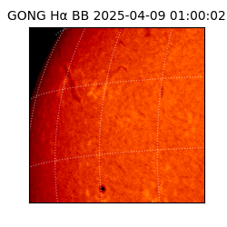 gong - 2025-04-09T01:00:02