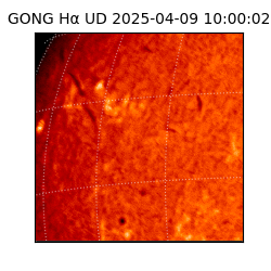 gong - 2025-04-09T10:00:02
