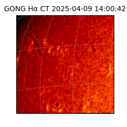 gong - 2025-04-09T14:00:42
