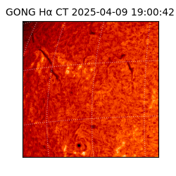 gong - 2025-04-09T19:00:42