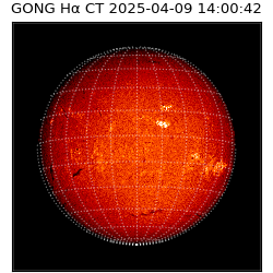 gong - 2025-04-09T14:00:42