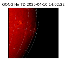gong - 2025-04-10T14:02:22