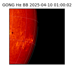 gong - 2025-04-10T01:00:02