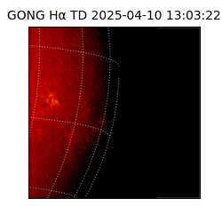 gong - 2025-04-10T13:03:22