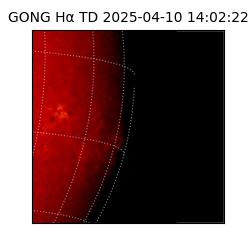 gong - 2025-04-10T14:02:22