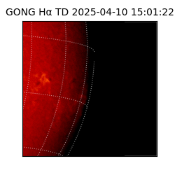 gong - 2025-04-10T15:01:22