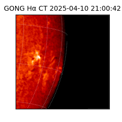 gong - 2025-04-10T21:00:42