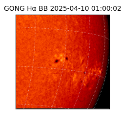 gong - 2025-04-10T01:00:02