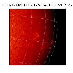 gong - 2025-04-10T16:02:22