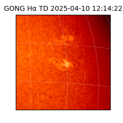 gong - 2025-04-10T12:14:22