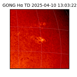 gong - 2025-04-10T13:03:22