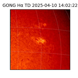 gong - 2025-04-10T14:02:22