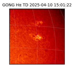 gong - 2025-04-10T15:01:22