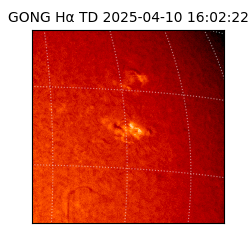 gong - 2025-04-10T16:02:22