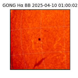 gong - 2025-04-10T01:00:02