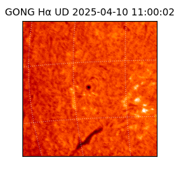 gong - 2025-04-10T11:00:02