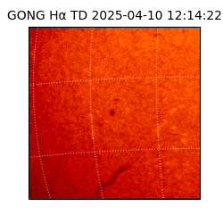 gong - 2025-04-10T12:14:22